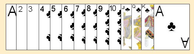 How to Play 5000 Rummy  Card Game Rules & Scoring