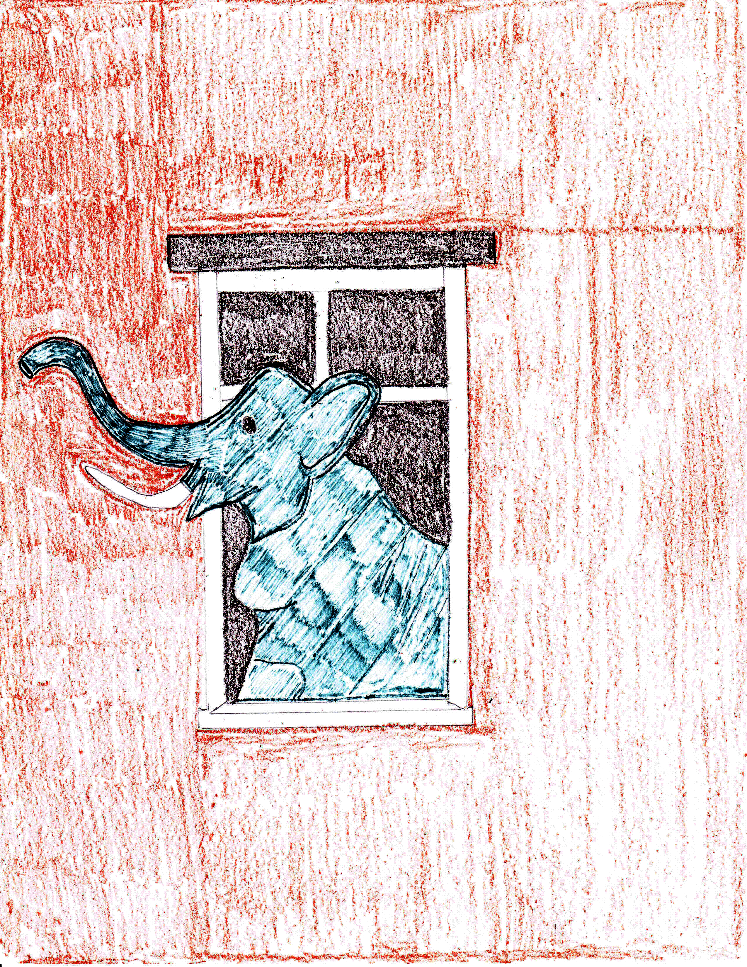 Through the Window I saw an Elephant